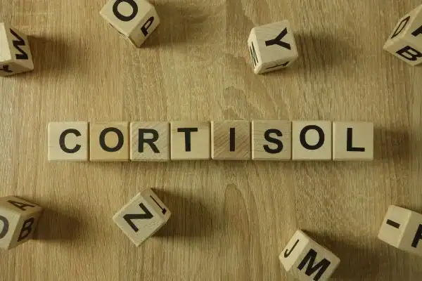 The Hidden Connection: How Stress Shapes Your Fitness and Body Composition 2 Image saying "Cortisol" and how stress Royal Leamington Spa impacts your wellbeing and bodies shape